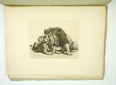 null VAN MUYDEN (Evert) : Dix Eaux Fortes animaux. 1887. S.n., s.d., s.l. 



Gravures...