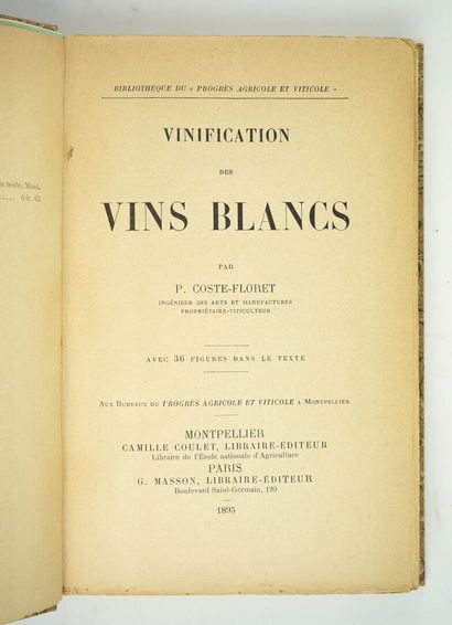 (Vin). COSTE-FLORET (Paul) : Vinification...
