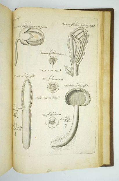 null GREW (Nehemiah) : The anatomy of plants. With an idea of a philosophical history...