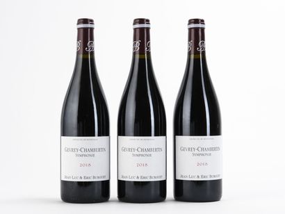 null 3 B GEVREY-CHAMBRTIN SYMPHONY Domaine Burguet 2018

Recoverable VAT for taxable...