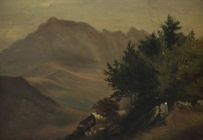 null B. VIGNET 
Une paire de paysages de montagne
Huile sur toile
Signée en bas à...