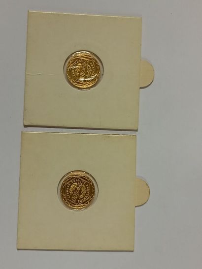 null Monnaie de Paris deux pièces de 100 francs os 

Pds 6,2 gr