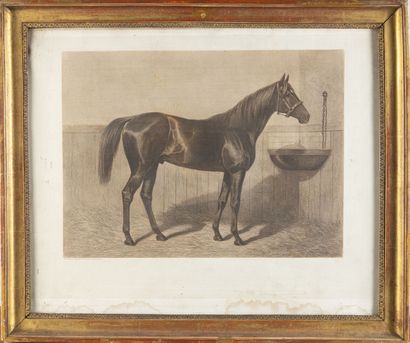 null Stallion in the stable
Engraving on paper
Gilquin and Dupain publisher
40 x...