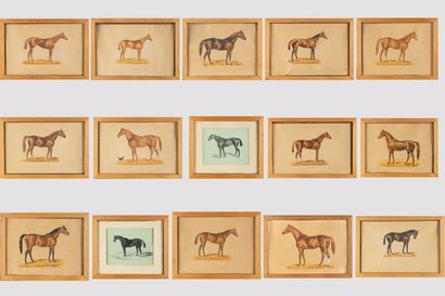 null d'après COTLISON
Suite de quinze gravures en couleurs sur les chevaux
encadrées
différentes...