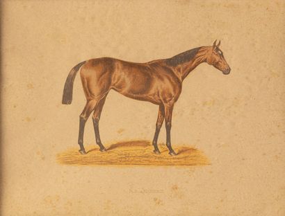 null after COTLISON
Suite of fifteen color engravings on horses
framed
different...