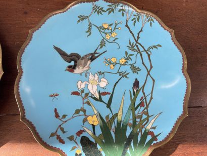 null JAPON deux plats en bronze cloisonné à décor d'oiseaux sur des branches fleuries...