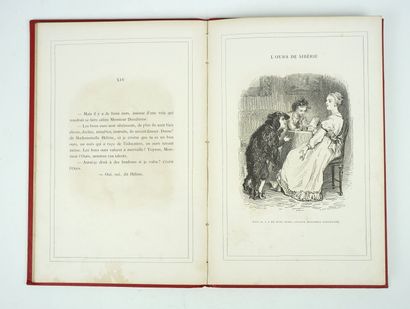 null Deux livres pour enfant de HETZEL : 

STAHL (P.-J.) : Histoire d'un Perroquet....