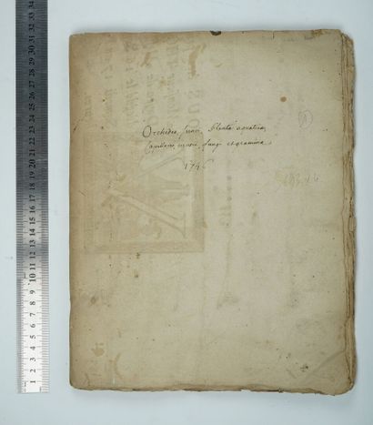 null Rare HERBARY of the 18th century. 

Four notebooks of 24 by 31 cm, made of reused...