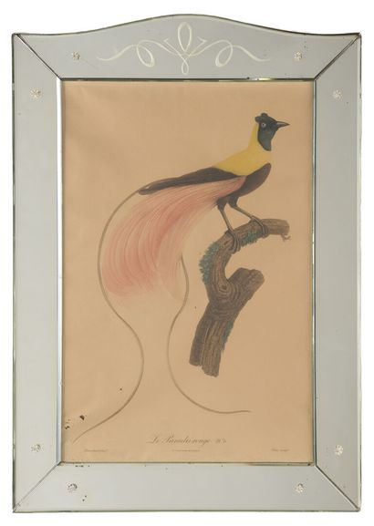 null Suite de quatre gravures 
Oiseaux
Encadrement miroir
A vue 54 x 36 cm