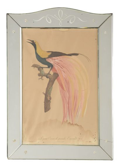 null Suite of four engravings 
Birds
Mirror frame
A view 54 x 36 cm