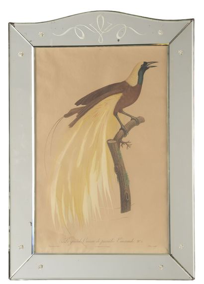 null Suite of four engravings 
Birds
Mirror frame
A view 54 x 36 cm