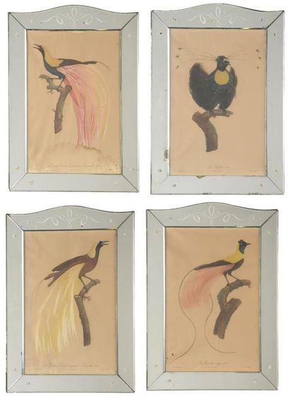 Suite of four engravings 
Birds
Mirror frame
A...