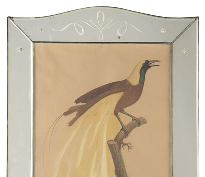 null Suite of four engravings 
Birds
Mirror frame
A view 54 x 36 cm