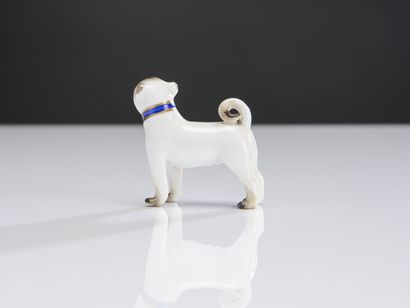 null SAXE, subject in polychrome porcelain representing a Pug 
18th century.
H :...