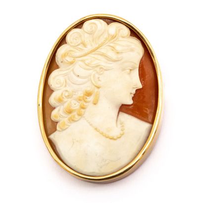null Brooch or pendant in 18K (750) yellow gold, encircling a shell cameo in straight...