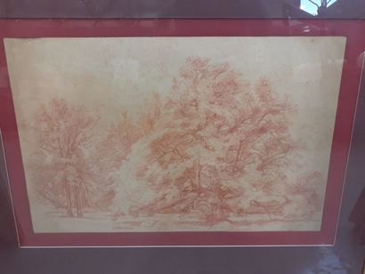 null Pablo RIGUAL ? 
Paysage aux arbres
Sanguine sur Isorel 
47.5 x 31 cm 
Signée...