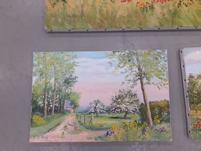 null P LE LION
Trois paysages
signées, huile sur toile
27 x 41 cm
