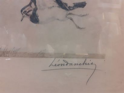 null Léon DANCHIN
Vanneau
Lithographie
22x 49 cm 