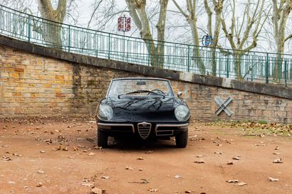 null 1969 - Alfa Romeo Spider 1300 Junior " Osso di seppia " 

Titre de circulation...