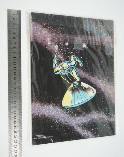 null The SILVER SURFER. LUG, 1985. 
Volume 9 of the Top BD series. Only issue devoted...