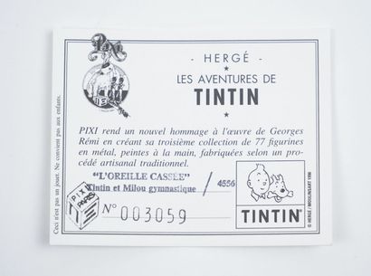 null PIXI - TINTIN: The broken ear. 
Tintin and Snowy doing gymnastics. Pixi 4556....