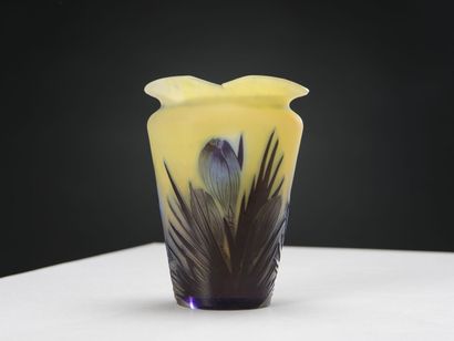 null Émile GALLÉ (1846-1904)

Conical vase with flat body and hot-cut neck in opaque...