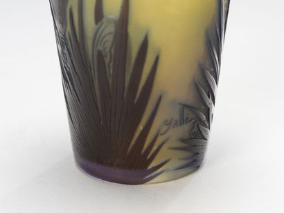 null Émile GALLÉ (1846-1904)

Conical vase with flat body and hot-cut neck in opaque...