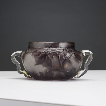 Émile GALLÉ (1846-1904) 

Rare cup with two...