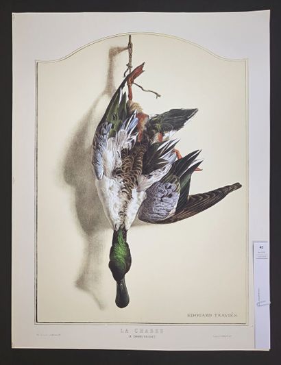 null TRAVIES (d'après). Le canard Souchet. Tirage moderne. 51 x 67 cm.