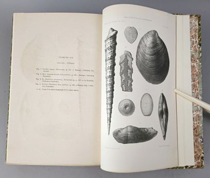 null [Ardèche]. DUMORTIER (Eugène) et FONTANNES (Francisque). Description des ammonites...