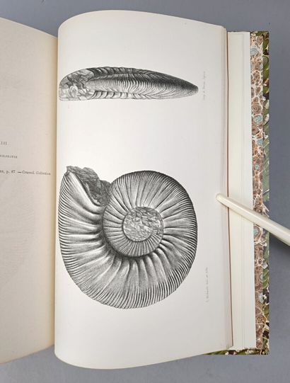 null [Ardèche]. DUMORTIER (Eugène) et FONTANNES (Francisque). Description des ammonites...