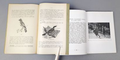 null PETIT (E.) Nos oiseaux braconniers et leur chasse au Grand-Duc. Paris, 1928....