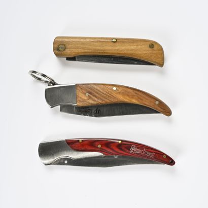 null Trois couteaux de randonnées manche en bois.

Un couteau à palme de chez Udeman....