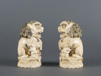 null Chine, Paire de Lions, ivoire, H: 13,5cm