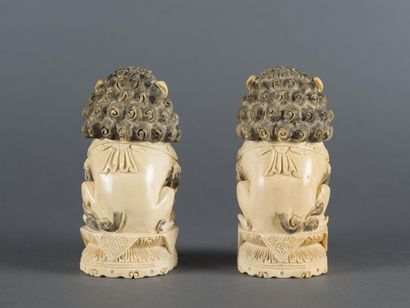 null Chine, Paire de Lions, ivoire, H: 13,5cm