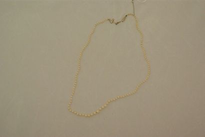 null Collier de perles en chute (probablement fines), fermoir or gris.