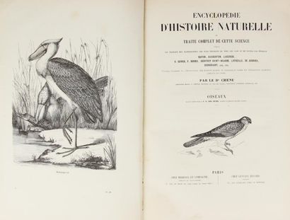 null CHENU (J.C). Encyclopédie d'histoire naturelle. Les oiseaux. Paris, Maresq,...