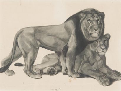 null Georges-Lucien GUYOT (1885-1937) : Couple de lions Gravure sur papier Signé...