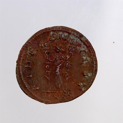 null PROBUS (276-282) Antoninien de billon (Ticinum) A/ VIRTUS PROBI AVG R/ FIDES...