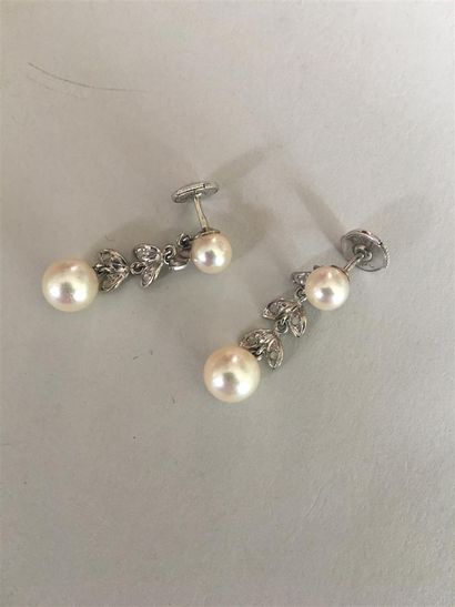 null Paire de pendants d'oreilles en or blanc (750) 18K perle avec suite de maillons...