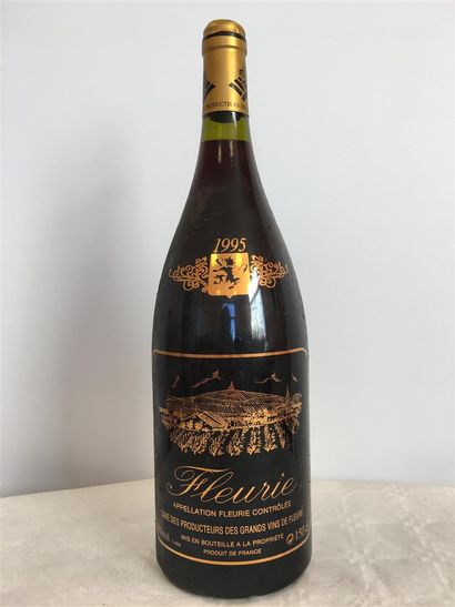 null 1Mag Fleurie 1995