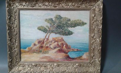 null Vue de Méditerranée , huile sur toile
58 x 36 cm