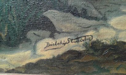 null Stanislas BIELSKI
L'orage
Huile sur toile
Signée en bas à gauche
48 x 76 cm