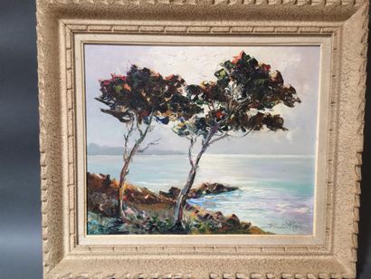 null Régis BERARD Vue de Méditerranée huile sur toile60 x 48 cm