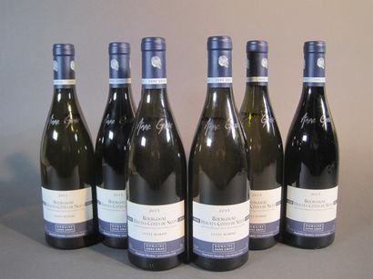 null 6 B HAUTES CÔTES DE NUITS CUVÉE MARINE Anne Gros 2015