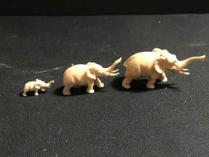 null Suite de trois éléphants en ivoire trompe dressée
H du lus grand : 2,5cm