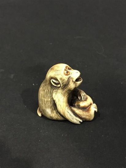 null Netsuke en ivoire, singe assis
Japon vers 1900 
3, 8 x 3, 5 cm