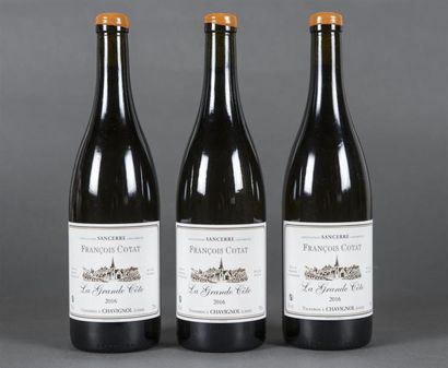 null 3 B SANCERRE LA GRANDE CÔTE François Cotat 2016