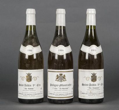 null 1 B PULIGNY-MONTRACHET LA GARENNE (1er Cru) Moingeon 1999
1 B SANT-AUBIN LES...