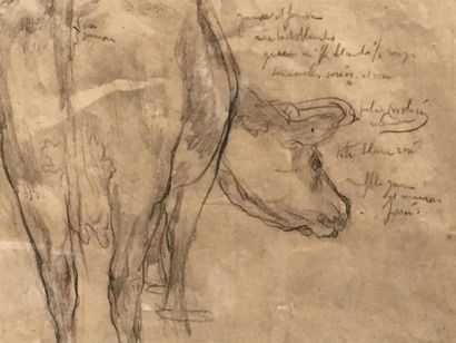 null Hippolyte LETY (1878 - 1959)
Vache de dos 
Dessin au crayon sur papier
28x2...